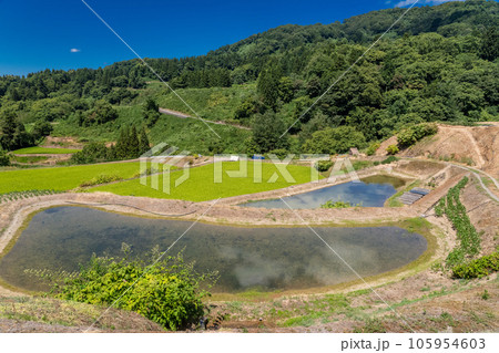 《新潟県》夏の棚田・里山の風景 《新潟県》夏の棚田・里山の風景 105954603