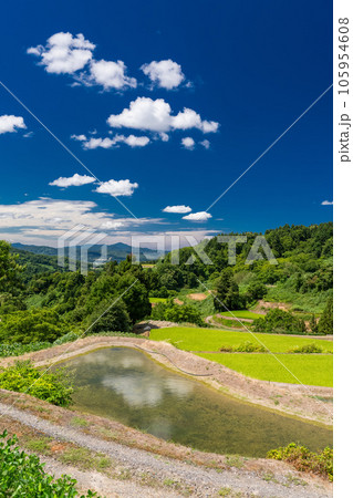 《新潟県》夏の棚田・里山の風景 105954608