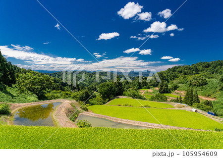 《新潟県》夏の棚田・里山の風景 《新潟県》夏の棚田・里山の風景 105954609