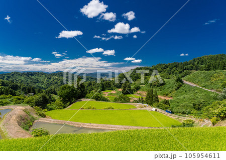 《新潟県》夏の棚田・里山の風景 《新潟県》夏の棚田・里山の風景 105954611