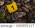 One yellow crime scene evidence marker on the ground after a gun shooting brass bullet shell casing 9mm handgun pistol 105955117