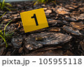 One yellow crime scene evidence marker on the ground after a gun shooting brass bullet shell casing 9mm handgun pistol 105955118