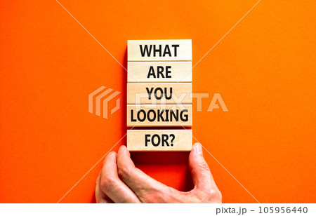 What are you looking for symbol. Concept words What are you looking for on wooden blocks. Businessman hand. Beautiful orange background. Business what are you looking for concept. Copy space. What are you looking for symbol. Concept words What are you looking for on wooden blocks. Businessman hand. Beautiful orange background. Business what are you looking for concept. Copy space. 105956440
