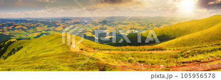 panoramic mountain landscape at sunset. curve path down the meadow on hillside. rural valley in the distance. beautiful countryside scenery in evening light 105956578