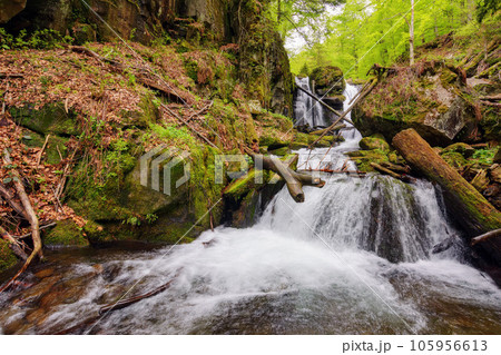 waterfall on the stream among mossy boulders. nature scenery in carpathian woods 105956613