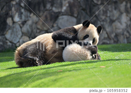 優浜と遊ぶ良浜ママ 優浜と遊ぶ良浜ママ 105958352