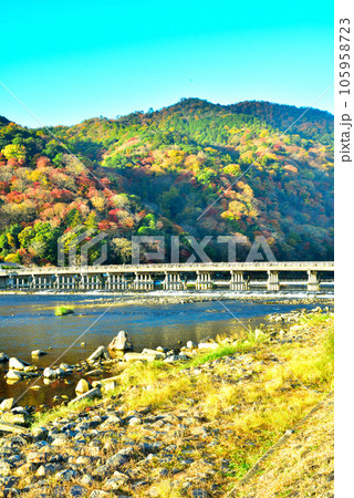 京都を代表する観光地 秋の嵐山 京都を代表する観光地 秋の嵐山 105958723