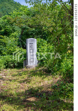 上信越高原国立公園　湯檜曾橋付近　みなかみ町　　 105958735
