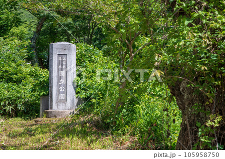 上信越高原国立公園　湯檜曾橋付近　みなかみ町　　 105958750