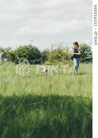 犬と一緒に走っている写真 105958866