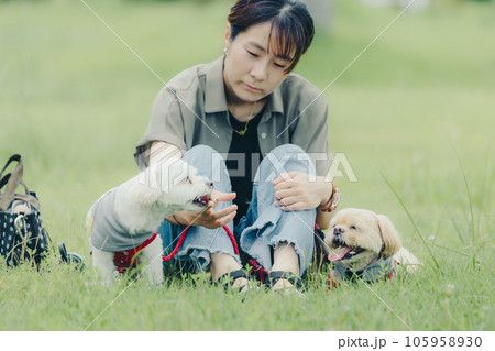 愛犬と戯れる女性 愛犬と戯れる女性 105958930
