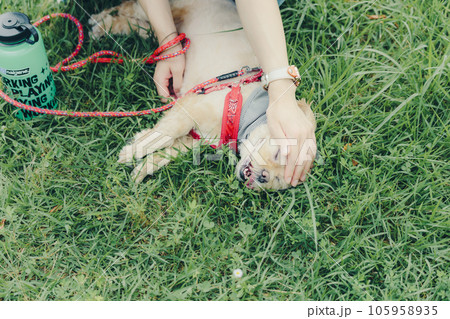 愛犬と戯れる女性 105958935