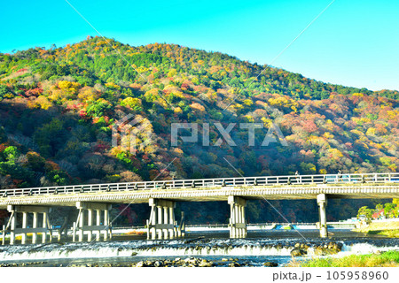 京都を代表する観光地 秋の嵐山 105958960