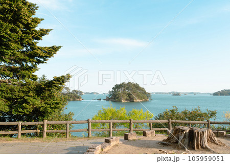 Matsushima bay view from Fukuura island in Miyagi, Japan Matsushima bay view from Fukuura island in Miyagi, Japan 105959051