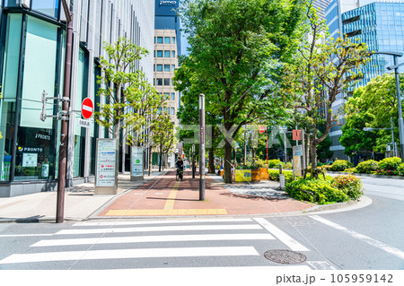 【東京都】街路樹の新緑が綺麗な池袋 105959142