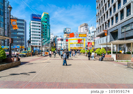 【東京都】たくさんの人が行き交う池袋駅の西口 【東京都】たくさんの人が行き交う池袋駅の西口 105959174