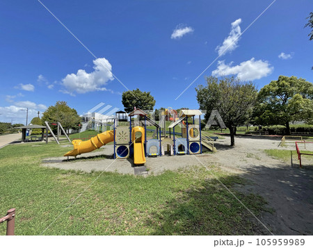 青空の下、大きな木のある公園 おおね公園 神奈川県秦野市 青空の下、大きな木のある公園 おおね公園 神奈川県秦野市 105959989