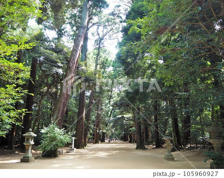 関東で最古の神社とされる由緒ある神社、鹿島神宮 105960927