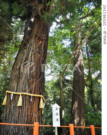 関東で最古の神社とされる由緒ある神社、鹿島神宮 関東で最古の神社とされる由緒ある神社、鹿島神宮 105961342