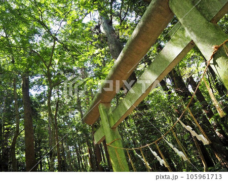 関東で最古の神社とされる由緒ある神社、鹿島神宮 105961713