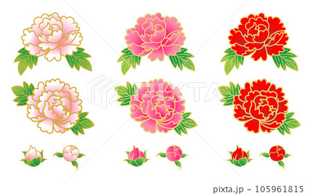 牡丹の花と蕾の3色セット 105961815
