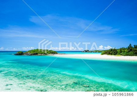 南国トロピカルビーチ 南国トロピカルビーチ 105961866