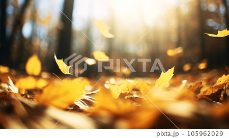 紅葉した葉、黄色い落ち葉が風に舞う風景 AI生成画像 紅葉した葉、黄色い落ち葉が風に舞う風景 AI生成画像 105962029
