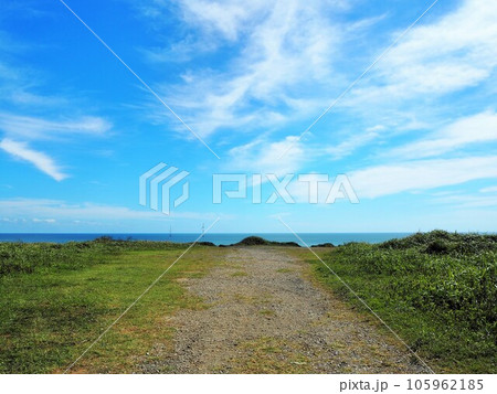 銚子市名洗町から旭市飯岡刑部岬まで続く海岸の絶壁、屛風ヶ浦 105962185