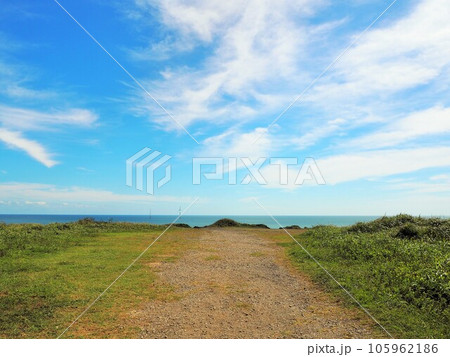 銚子市名洗町から旭市飯岡刑部岬まで続く海岸の絶壁、屛風ヶ浦 105962186