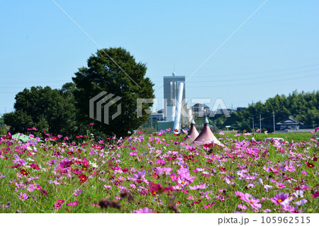 鬼怒グリーンパークへ行きました　＃73 105962515