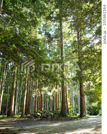 東国三社の一つ、香取神宮 東国三社の一つ、香取神宮 105962564