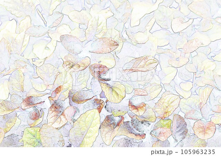 パステル調 ”アジュガの葉” イラストイメージ パステル調 ”アジュガの葉” イラストイメージ 105963235