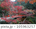 安芸の宮島の橋と美しい紅葉 105963257