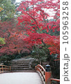 宮島の紅葉に覆われた橋 105963258
