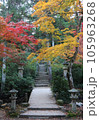 紅葉に包まれた石段 105963268