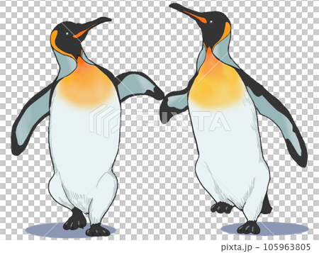 王様ペンギン 王様ペンギン 105963805