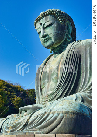 高徳院 鎌倉大仏（神奈川県鎌倉市） 105964446