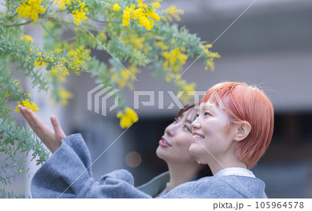 ミモザと女性 ミモザと女性 105964578
