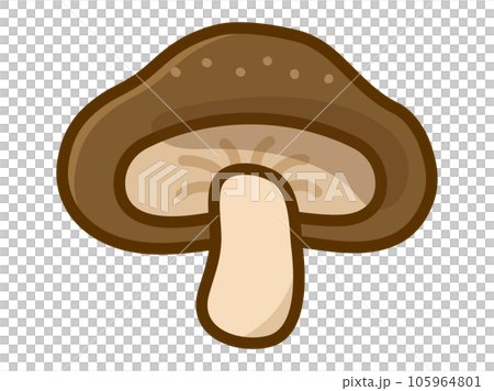 椎茸のイラスト 105964801