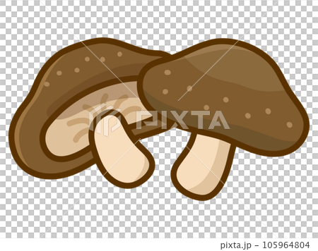 椎茸二個のイラスト素材 105964804