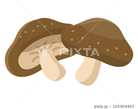 シンプルな椎茸二個のイラスト 105964805