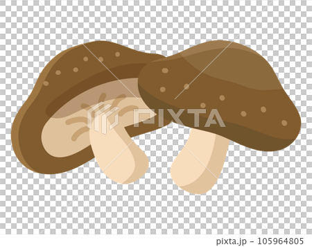 シンプルな椎茸二個のイラスト 105964805