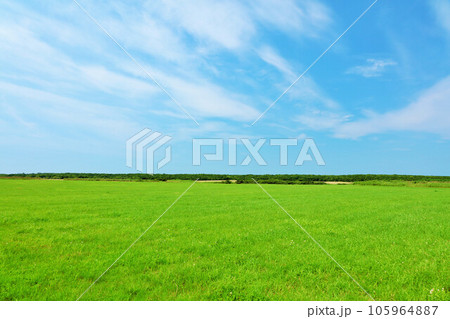 北海道　夏の青空と道東の草原風景 105964887