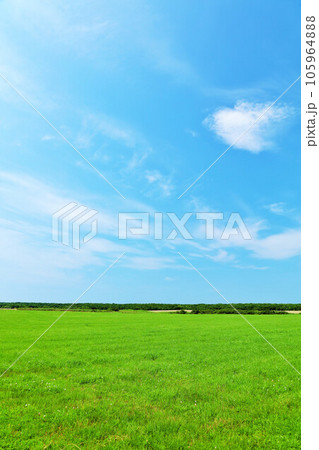 北海道 夏の青空と道東の草原風景 北海道 夏の青空と道東の草原風景 105964888