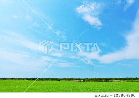 北海道　夏の青空と道東の草原風景 105964890
