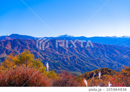 【秋素材】陣馬形山から見る南アルプスの三段紅葉【長野県】 105964936