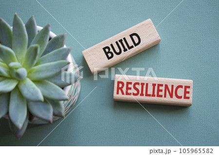 Build resilience symbol. Wooden blocks with words Build resilience. Beautiful grey green background with succulent plant. Business and Build resilience concept. Copy space. Build resilience symbol. Wooden blocks with words Build resilience. Beautiful grey green background with succulent plant. Business and Build resilience concept. Copy space. 105965582