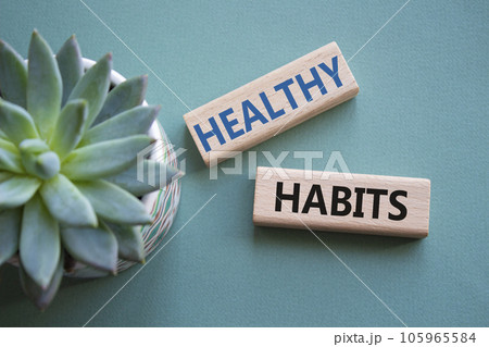 Healthy habits symbol. Concept word Healthy habits on wooden blocks with succulent plant. Beautiful grey green background. Business and Healthy habits concept. Copy space Healthy habits symbol. Concept word Healthy habits on wooden blocks with succulent plant. Beautiful grey green background. Business and Healthy habits concept. Copy space 105965584