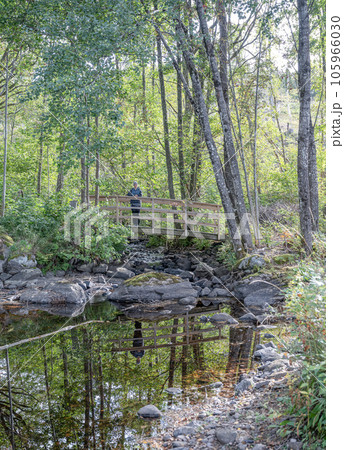 Girl hiking at Lake Ragnerudssjoen in Dalsland Sweden beautiful nature forest pinetree swedish Girl hiking at Lake Ragnerudssjoen in Dalsland Sweden beautiful nature forest pinetree swedish 105966030