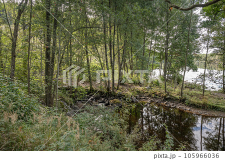 Lake Ragnerudssjoen in Dalsland Sweden beautiful nature forest pinetree swedish houses Lake Ragnerudssjoen in Dalsland Sweden beautiful nature forest pinetree swedish houses 105966036